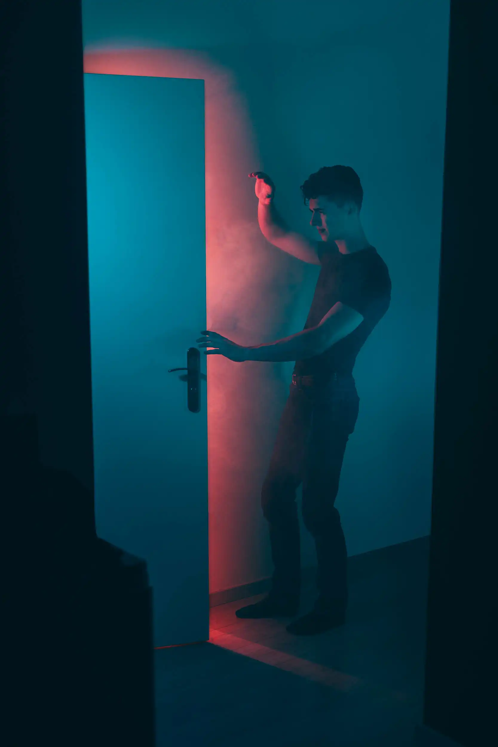 Chrysalis - Image 2
