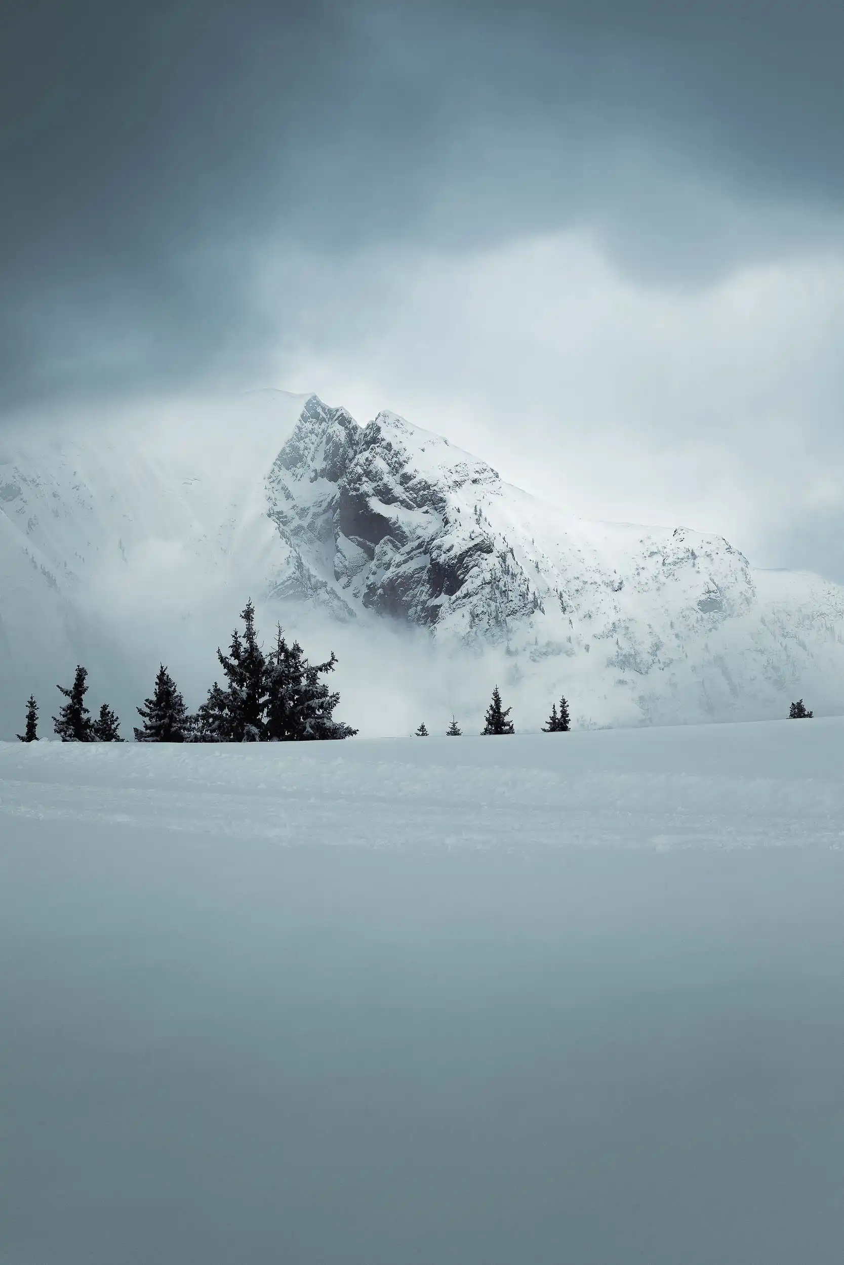 Les Alpes dans la brume - Image 5