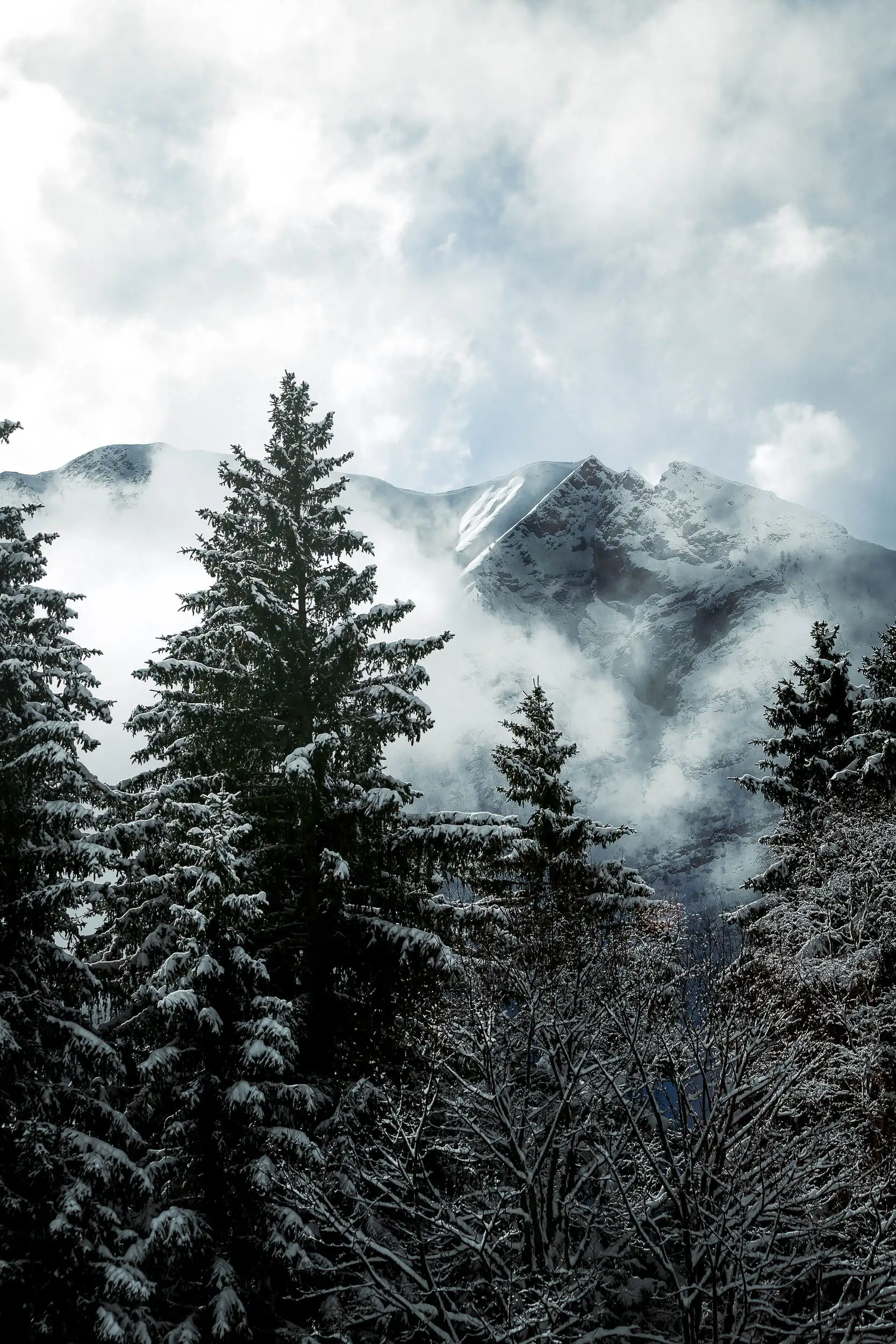 Les Alpes dans la brume - Image 6