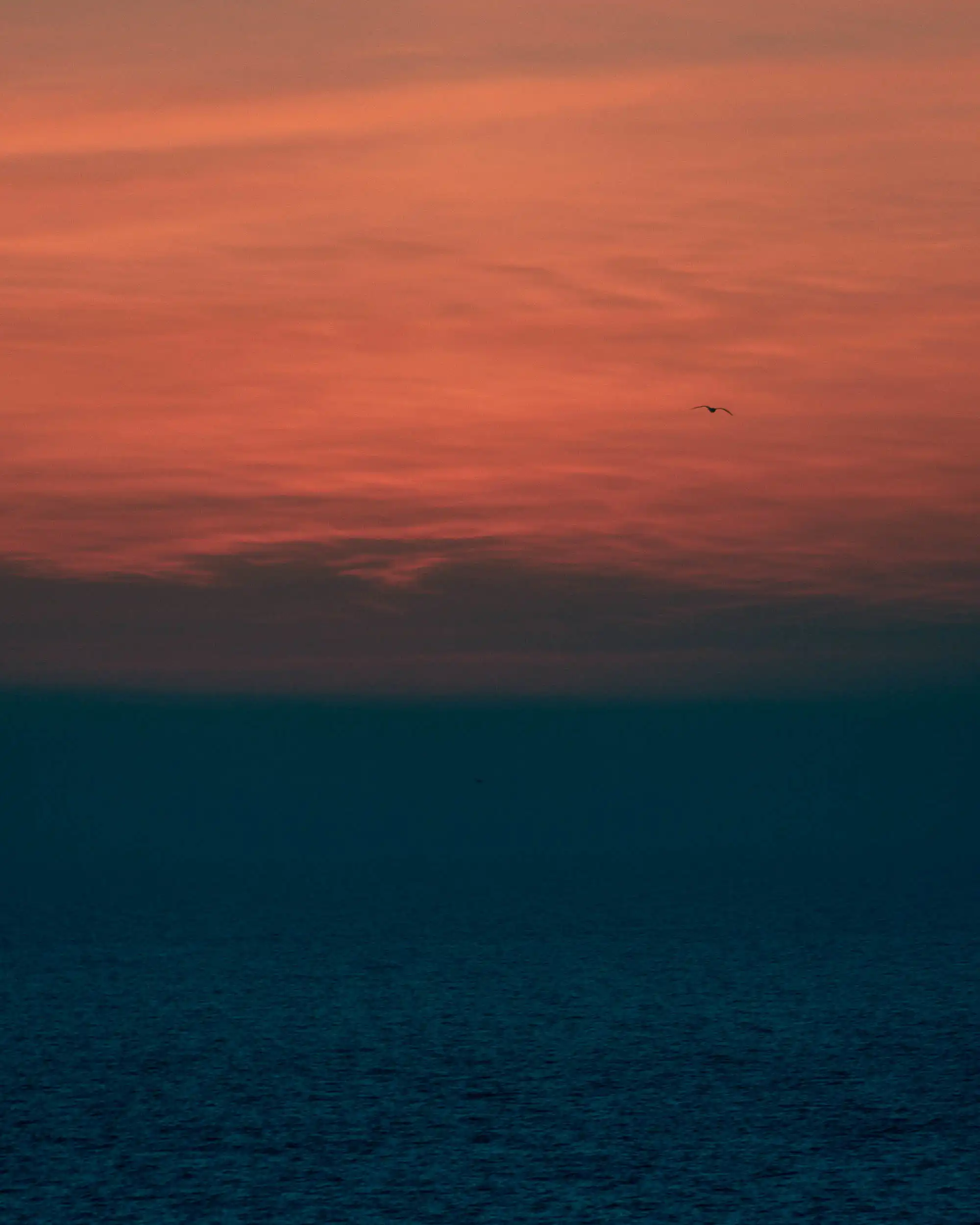 La Pupille d'Helios - Image 6