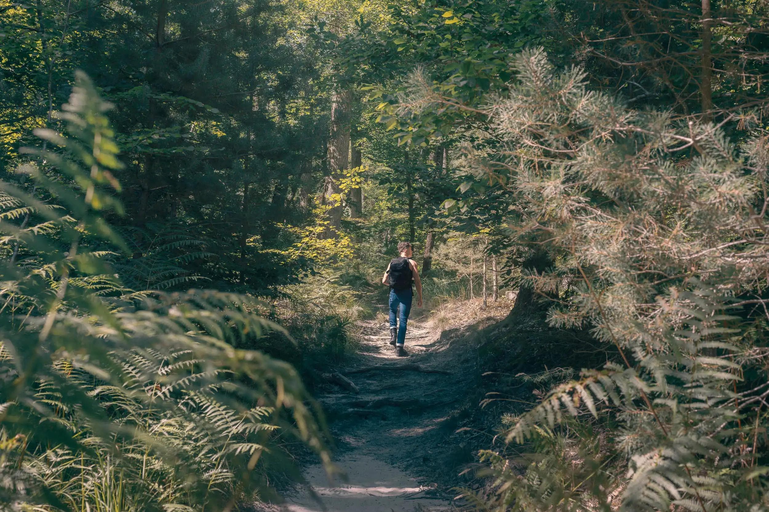 Personne marchant seule sur un sentier forestier, symbole de voyage intérieur et d’introspection estivale.