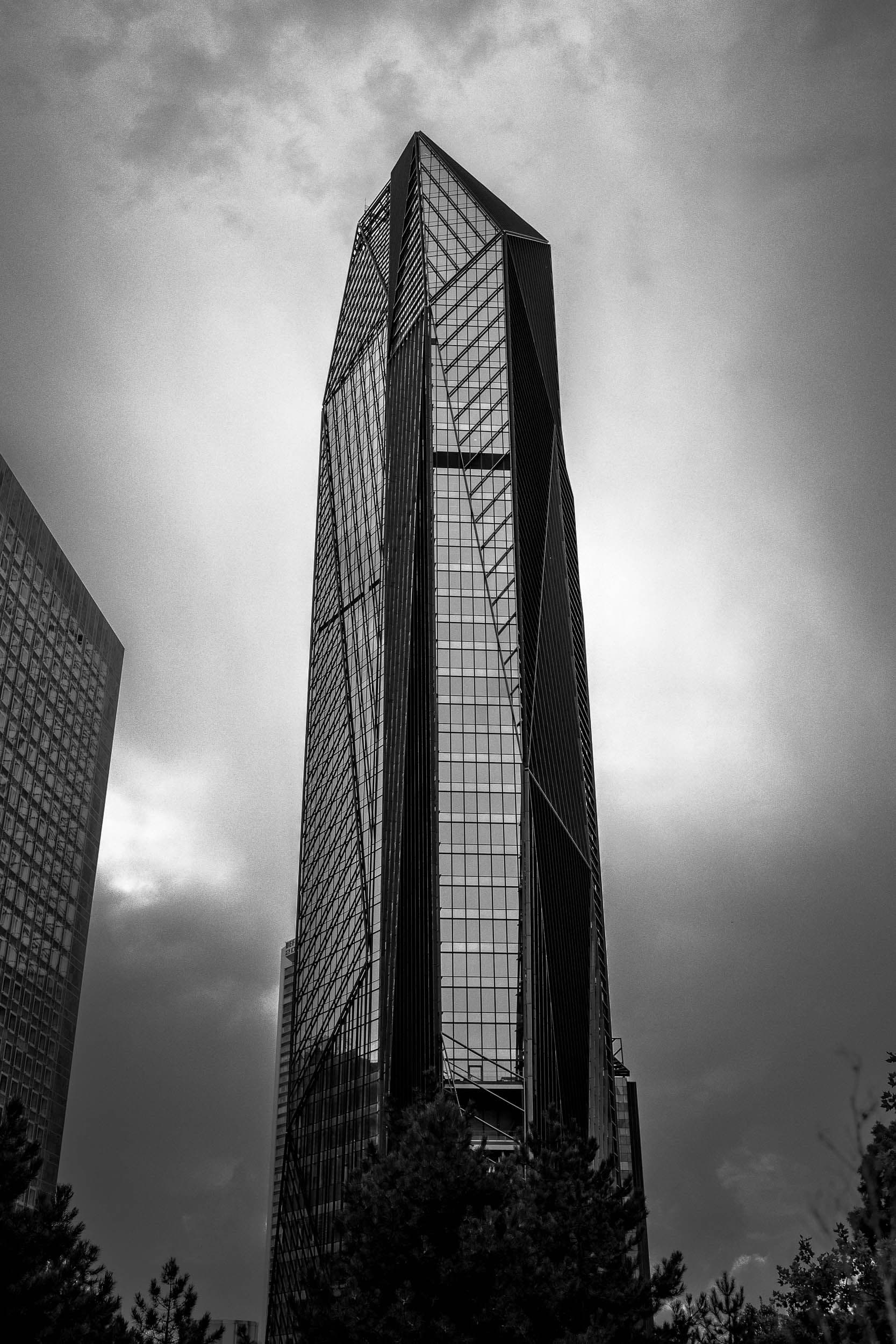 Gratte-ciel triangulaire en verre à La Défense photographié en contre-plongée avec ciel dramatique et végétation au premier plan, noir et blanc