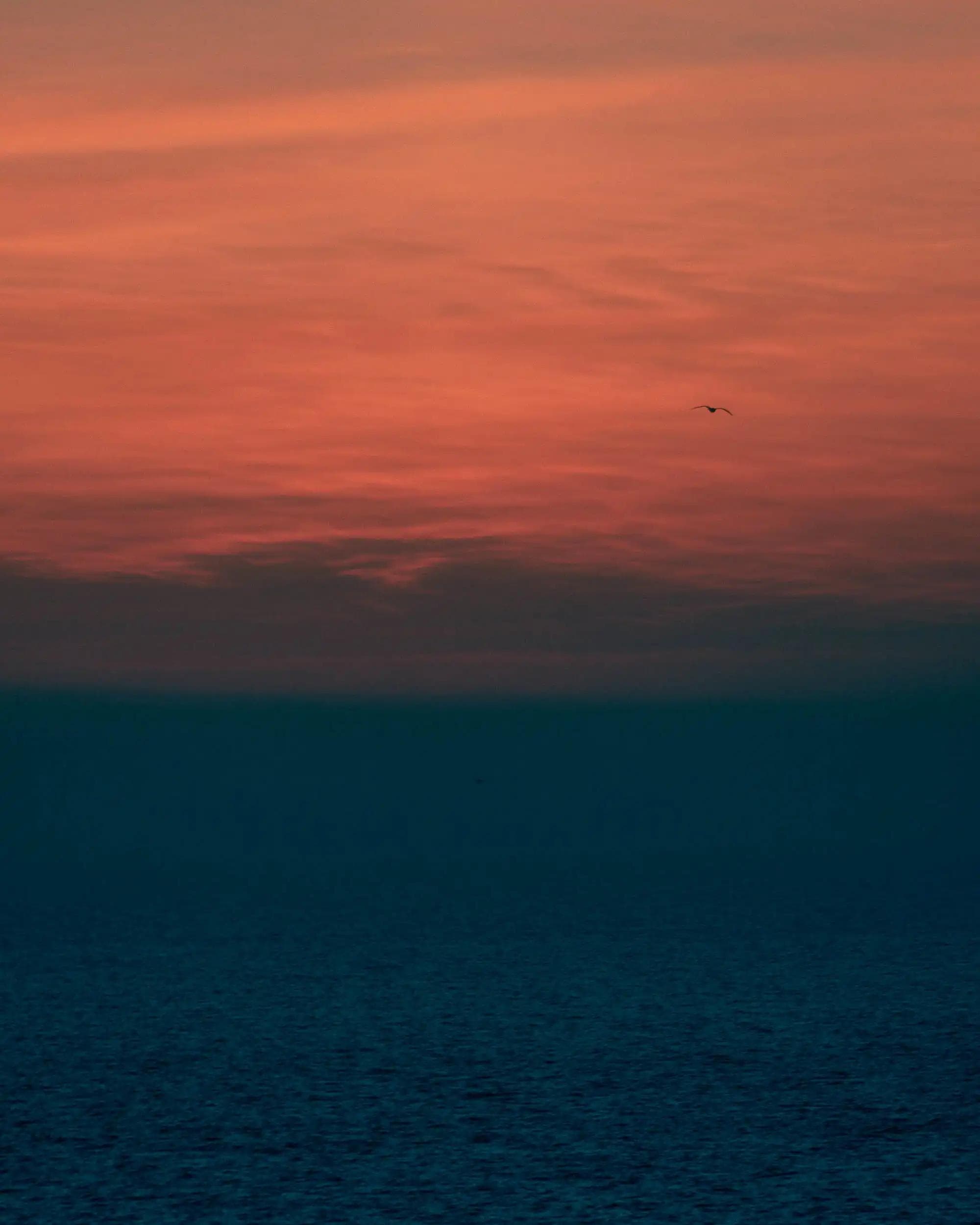 Ciel ocre au-dessus de la mer à Deauville avec un oiseau en silhouette, photographie minimaliste de la série La Pupille d’Hélios réalisée par Arthur Monteil.