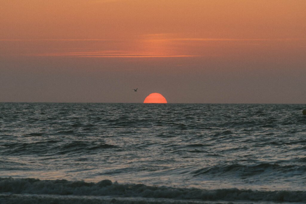 Un oiseau passe devant le soleil couchant à Deauville